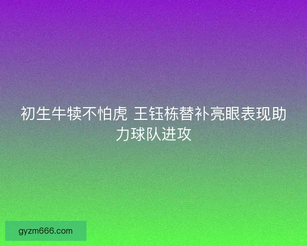 初生牛犊不怕虎 王钰栋替补亮眼表现助力球队进攻