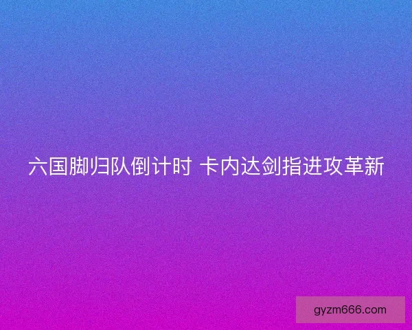 六国脚归队倒计时 卡内达剑指进攻革新